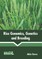 Rice Genomics, Genetics and Breeding