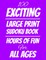 100 Exciting Large Print Sudoku Book