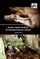 Inaugural Archaeology Series: Wood Coffin Burial of Kinabatangan, Sabah