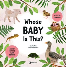 Whose Baby Is It?