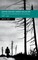Ault, J: Saving Nature Under Socialism