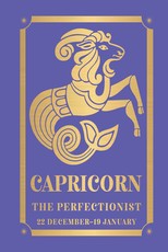 Capricorn: The Perfectionist