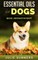 Essential Oils for Dogs
