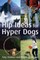 Hip Ideas for Hyper Dogs