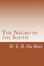 The Negro in the South