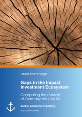 Gaps in the Impact Investment Ecosystem
