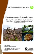 Frankincense - Gum Olibanum