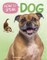 How to Speak Dog