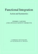 Functional Integration
