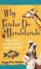 Why Pandas Do Handstands