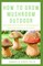 How to Grow Mushroom Outdoor