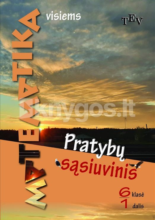 Matematika Visiems Pratyb S siuvinis 6 Klasei 1 Dalis