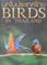 Birds in Thailand