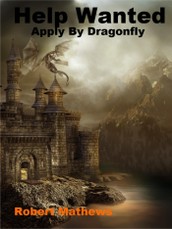 Help Wanted Apply By Dragonfly