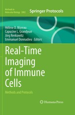 Real-Time Imaging of Immune Cells