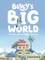 Bluey's Big World