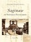 Saginaw in Vintage Postcards