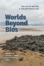 Worlds Beyond Bios