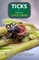 Ticks & How to Love Them