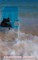 Doggy Beach Gratitude Jounal