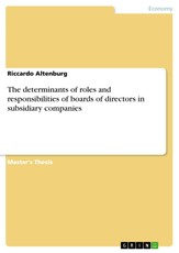 The determinants of roles and responsibilities of boards of directors in subsidiary companies