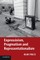 Expressivism, Pragmatism and Representationalism
