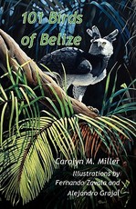 101 Birds of Belize