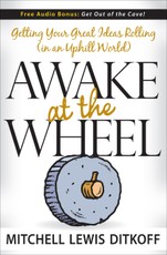 Awake at the Wheel