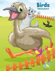 Birds Coloring Book 9