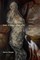 The Disarticulate