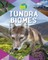 Tundra Biomes