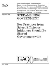 Streamlining government