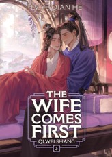 The Wife Comes First: Qi Wei Shang (Novel) Vol. 3