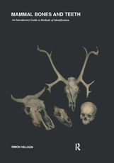 Mammal Bones and Teeth