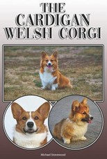 The Cardigan Welsh Corgi