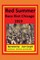 Red Summer Race Riot Chicago 1919