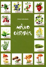 Miško gėrybės