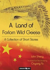 A Land of Forlorn Wild Geese