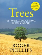 Trees in Britain