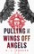 Pulling the Wings Off Angels