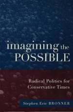 Imagining the Possible