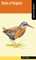 Falcon Guide: Birds of Virginia