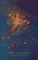 Mega-Galaxies