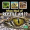 What Kind of Reptile Am I?