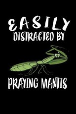 Easily Distracted By Praying Mantis