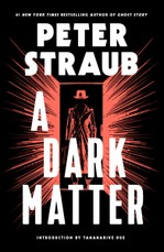 A Dark Matter