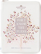 For I Know the Plans