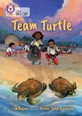 Team Turtle