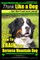 Bernese Mountain Dog, Bernese Mountain Dog Training AAA Akc - Think Like a Dog But Don't Eat Your Poop!