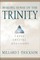 Making Sense of the Trinity (Three Crucial Questions)